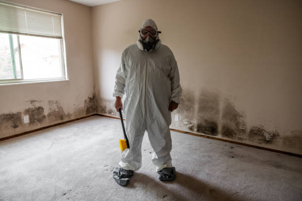 Best Residential Mold Remediation in West Pasco, WA